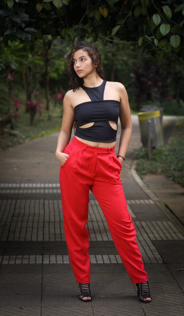 image00065 Blusa Alana