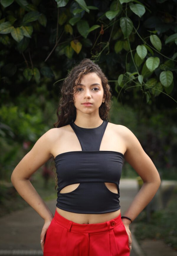 image00068 Blusa Alana